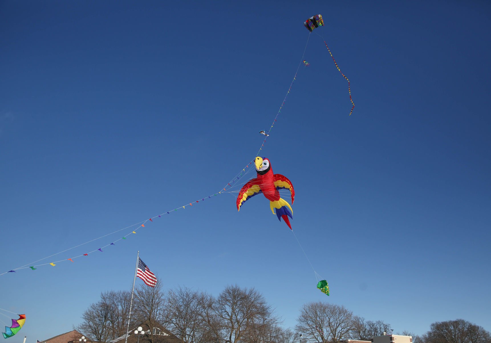 Color the Wind kite festival 02-15-2020 (28).jpg